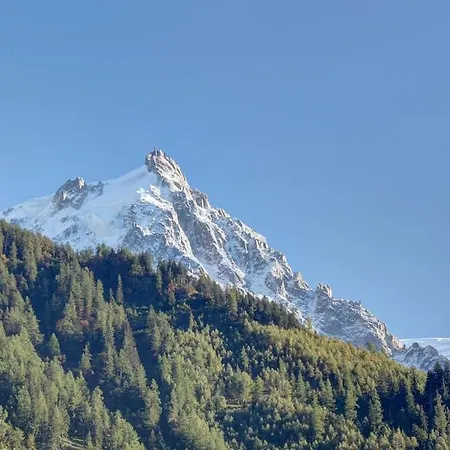 Jonquille 4 * Chamonix